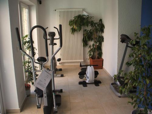 Foto de los servicios de Hotel Apollo Garni