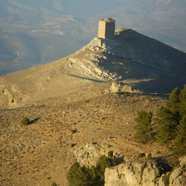 Foto de Pinares en las fuentes del Guadalquivir