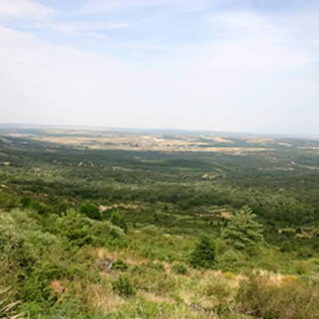 Foto de Bosques de Prádena