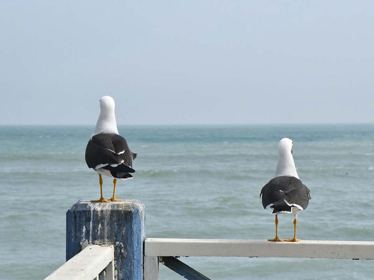 Fotografía de Huacho Lima Perú