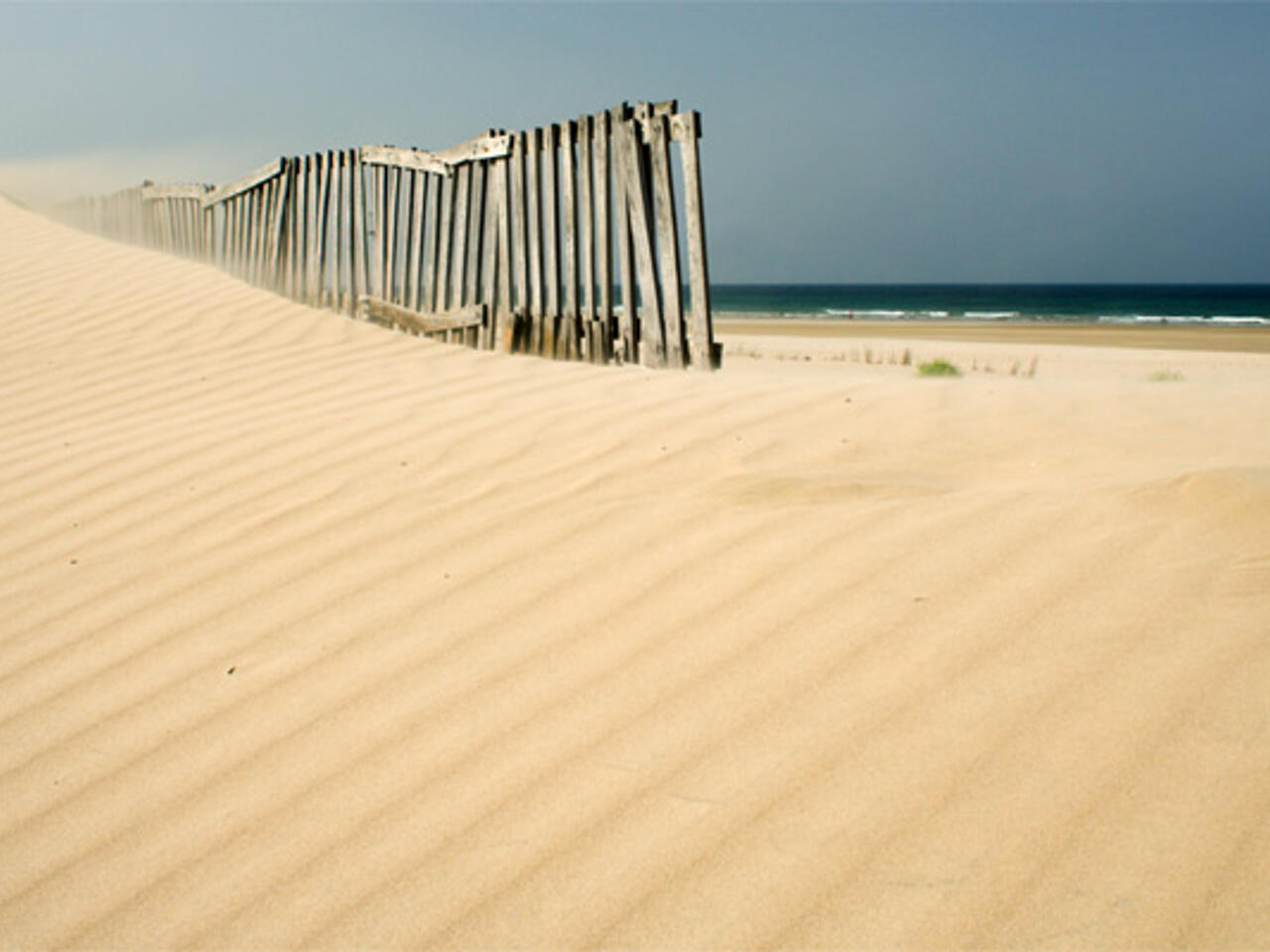Fotografía de Dunas de la playa de Camposoto