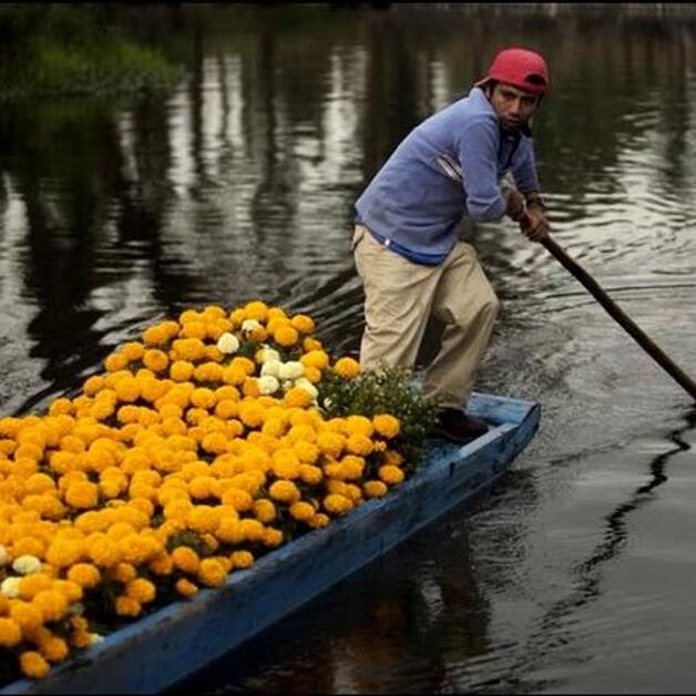 Foto de La Isla de las Muñecas