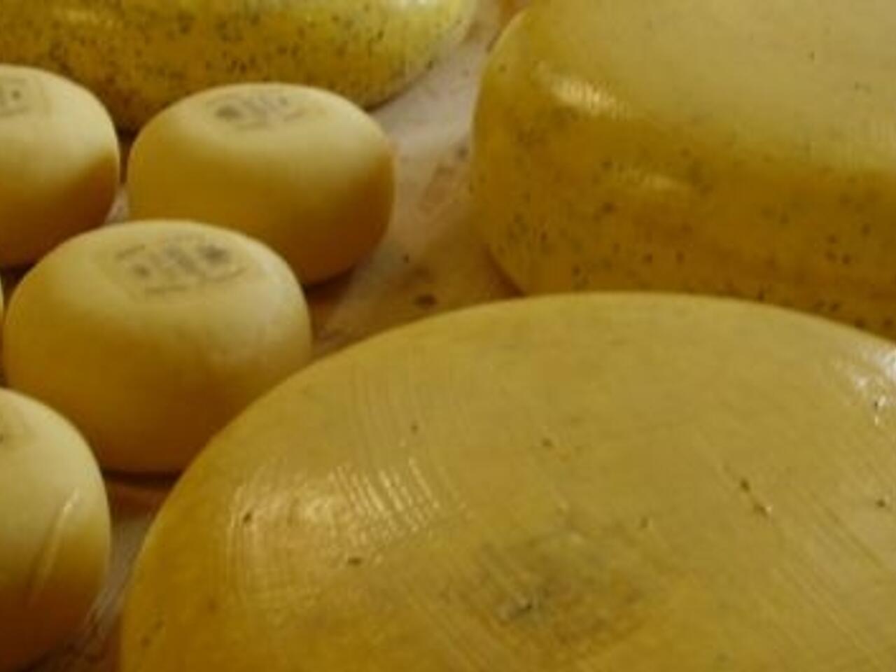 Fotografía de Quesos de Gouda
