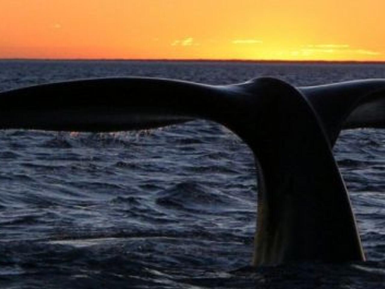 Fotografía de Puerto Madryn