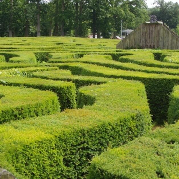 Foto de Longleat Hedge Maze
