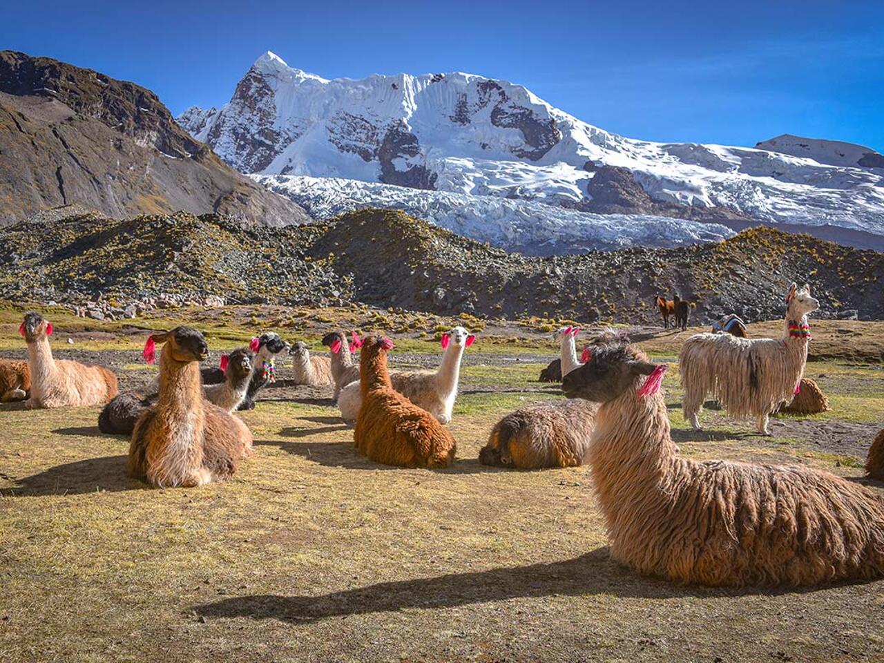 Fotografía de Qué ver en Cuzco Perú