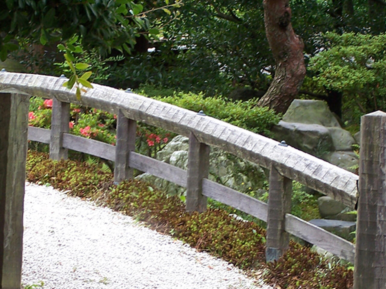 Fotografía de Kyoto