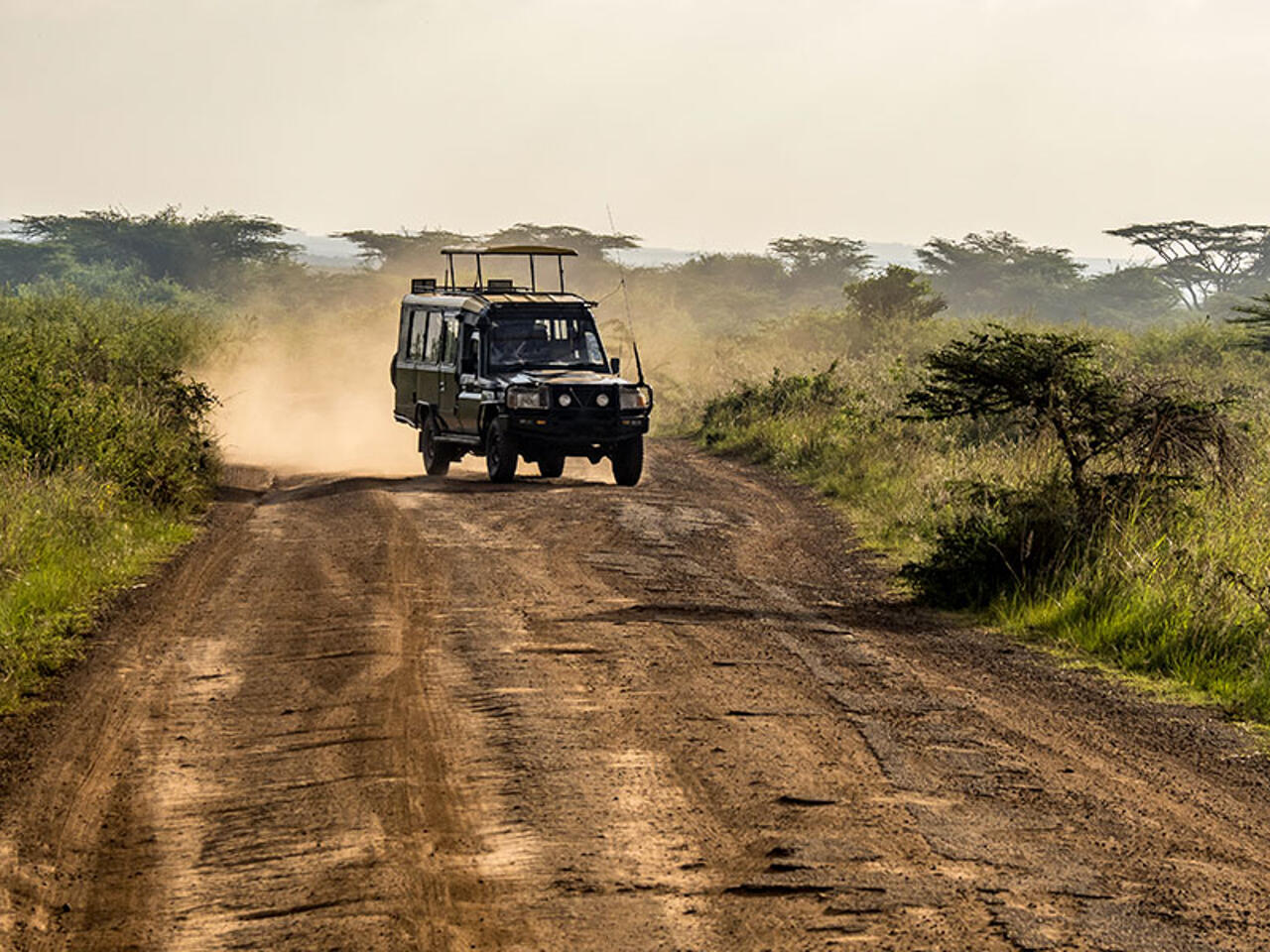 Fotografía de Nairobi parque nacional