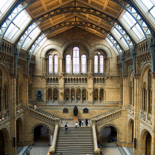 Foto de Explorando el Londres científico