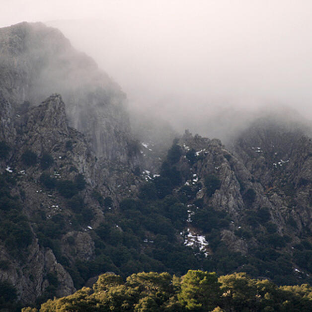 Foto de El Tesoro de la Tramontana