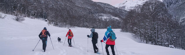 Photo - Pyrénées Françaises