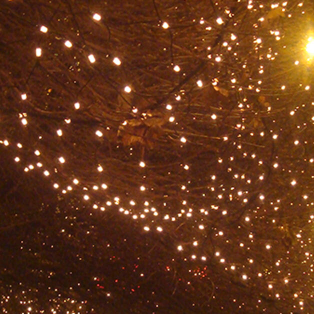 Foto de Espectáculos Navideños