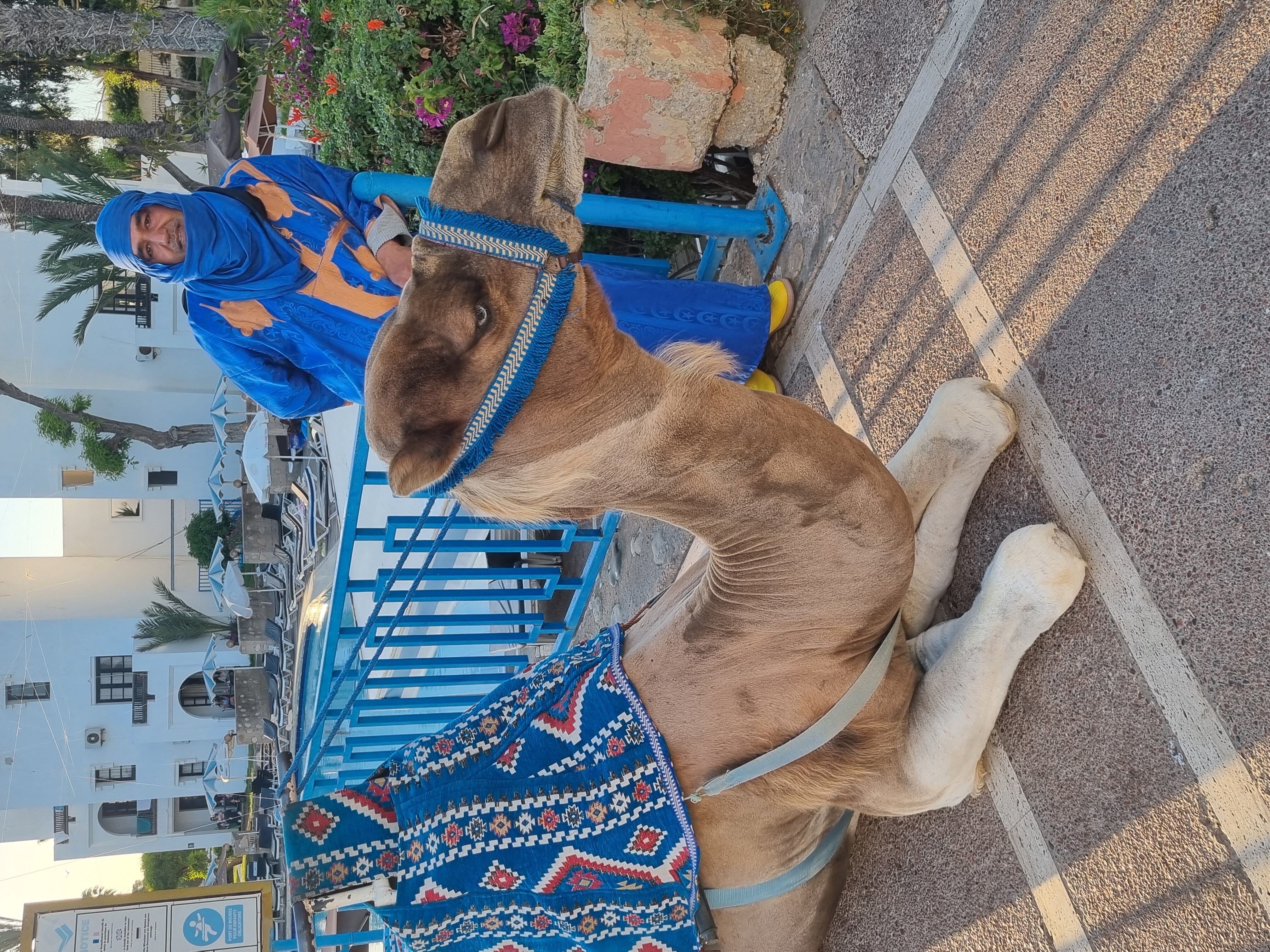 Agadir