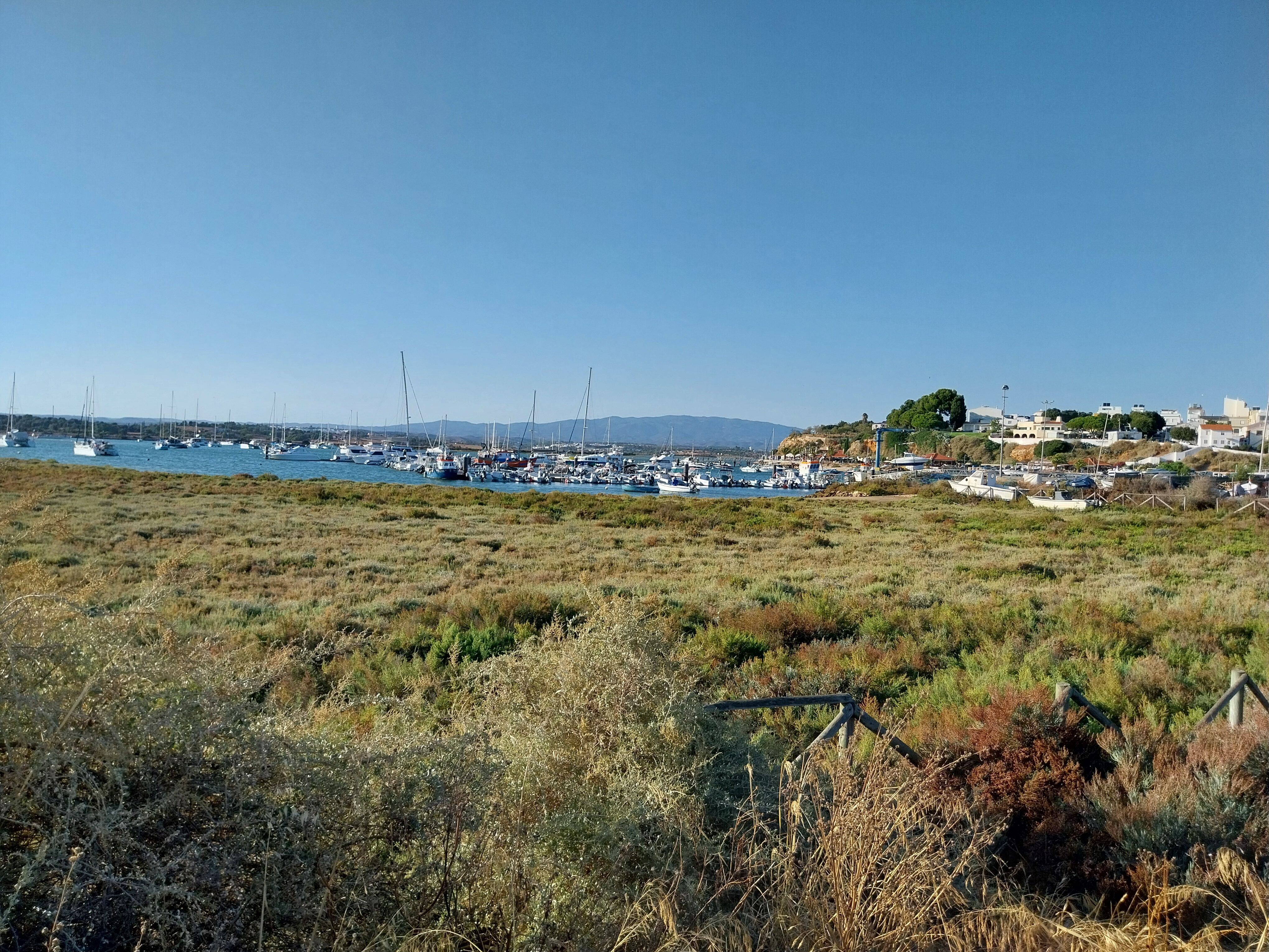 Alvor