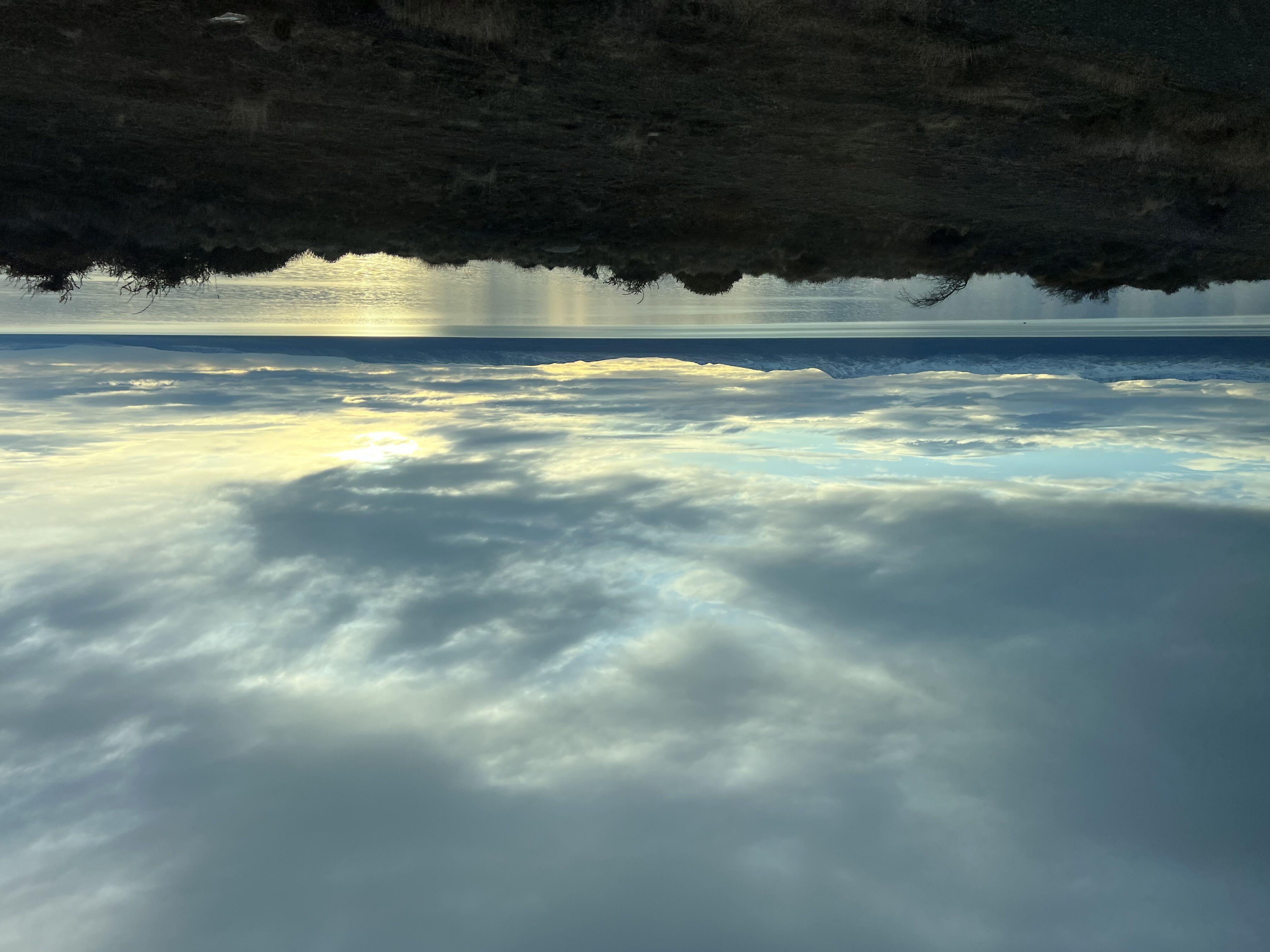 Calafate