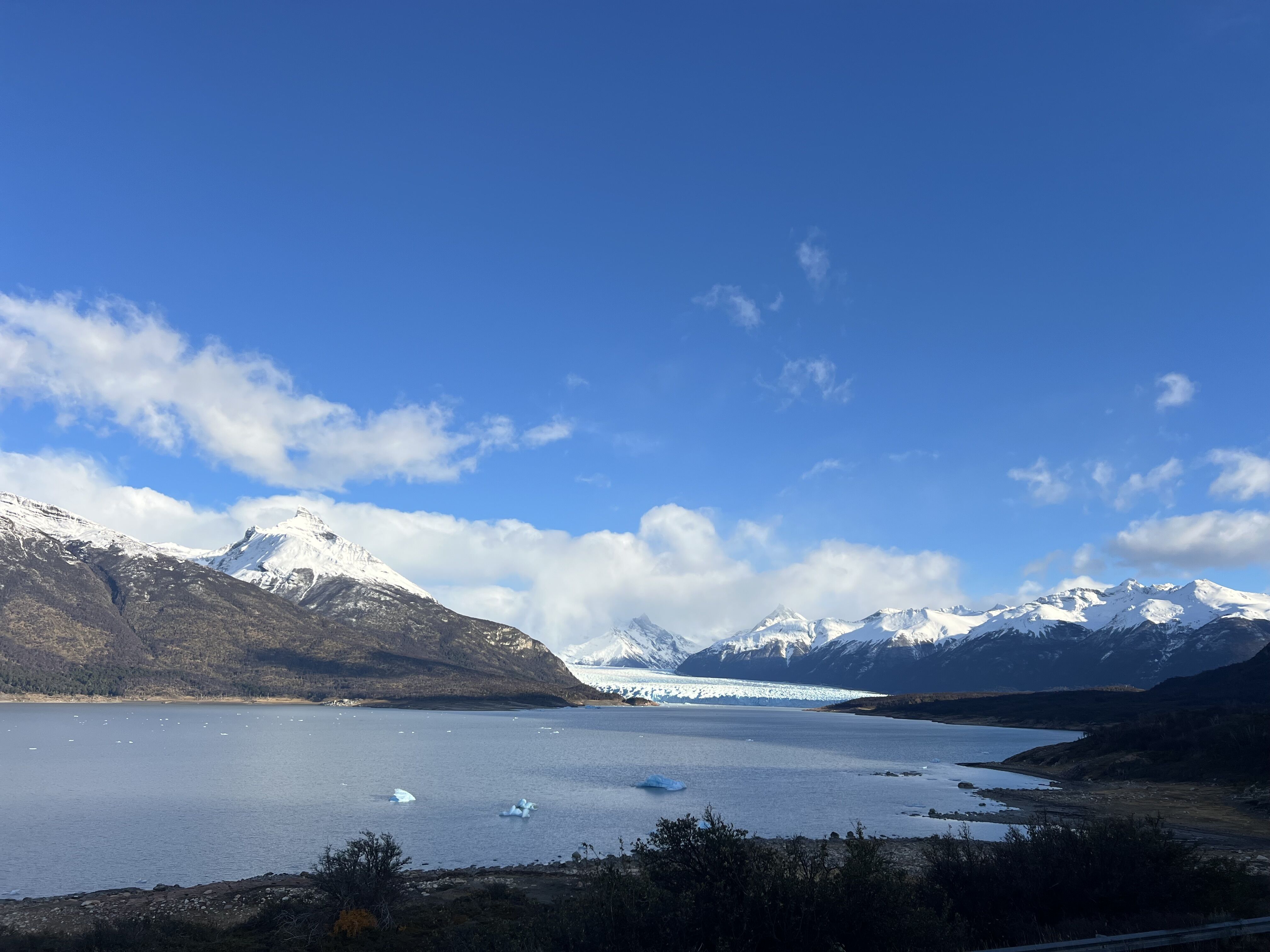 Calafate