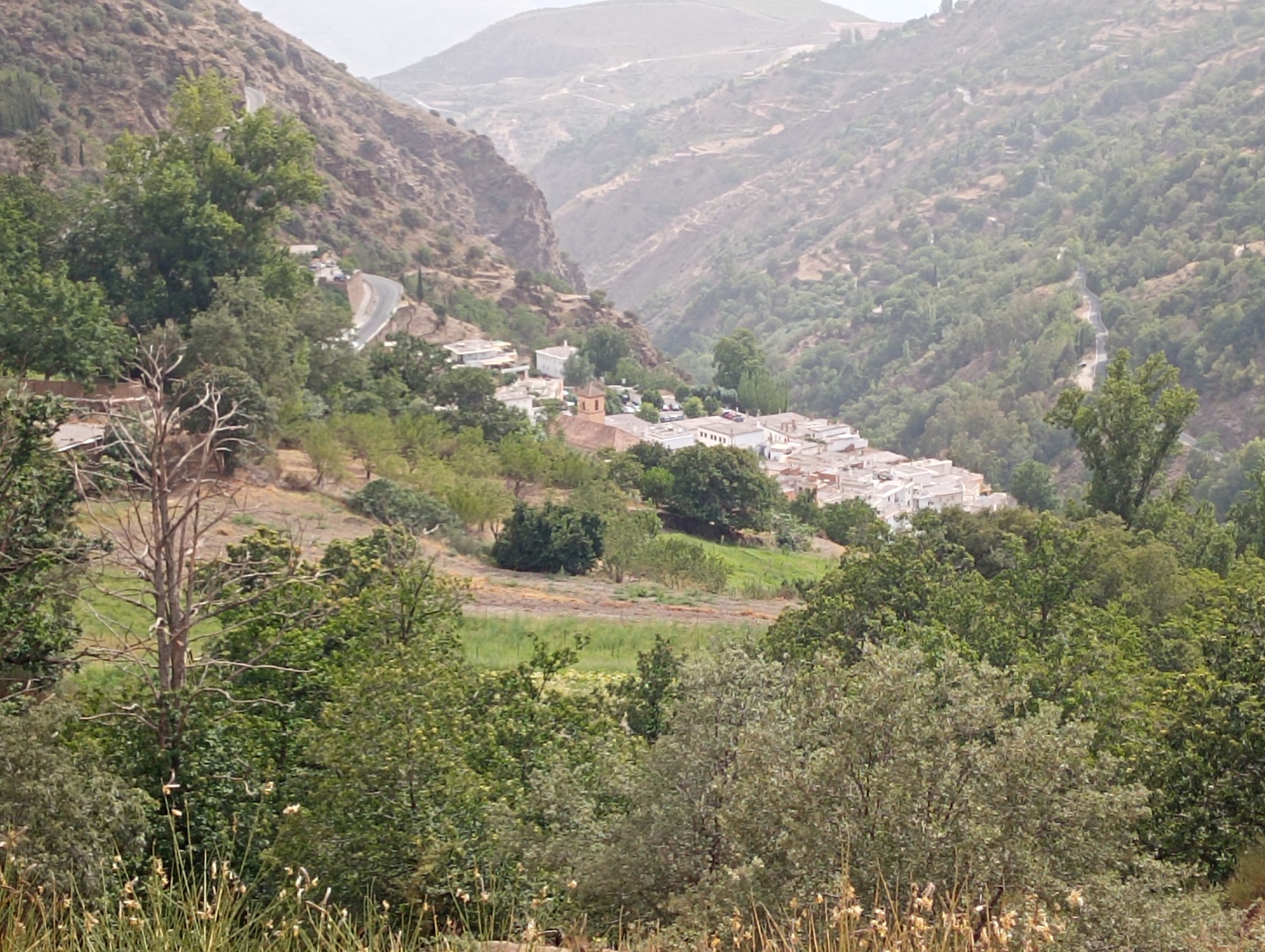 Capileira