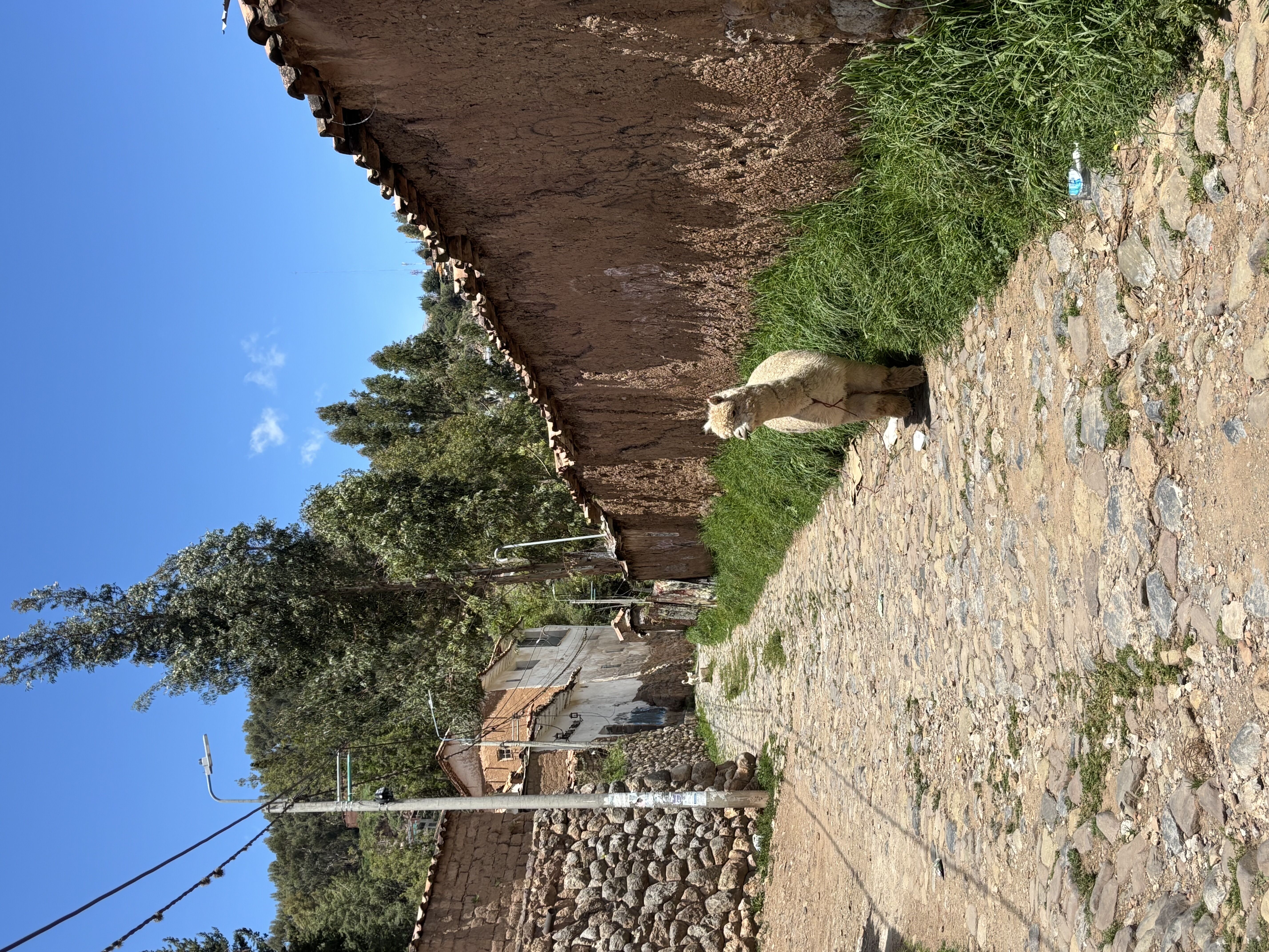 Cuzco