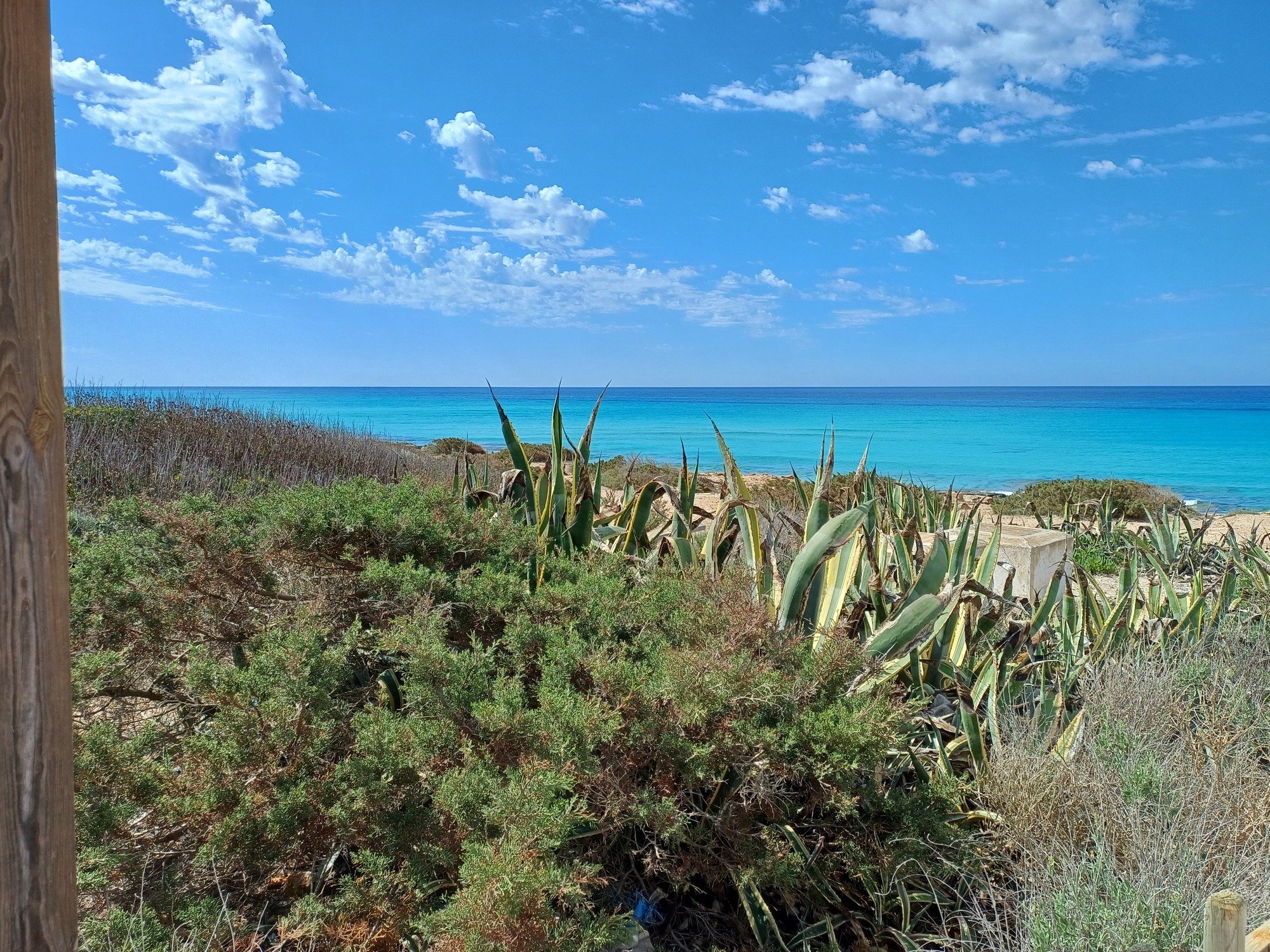 Formentera Isola (Consiglio insulare)
