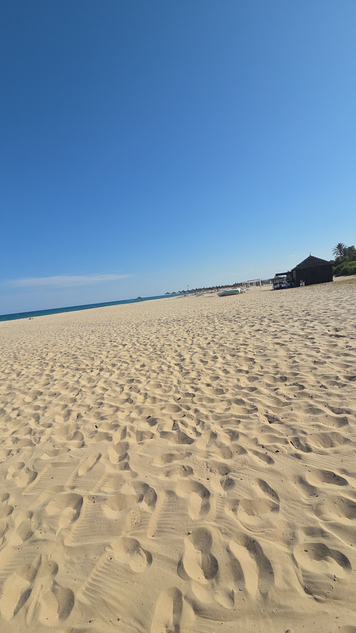Hammamet
