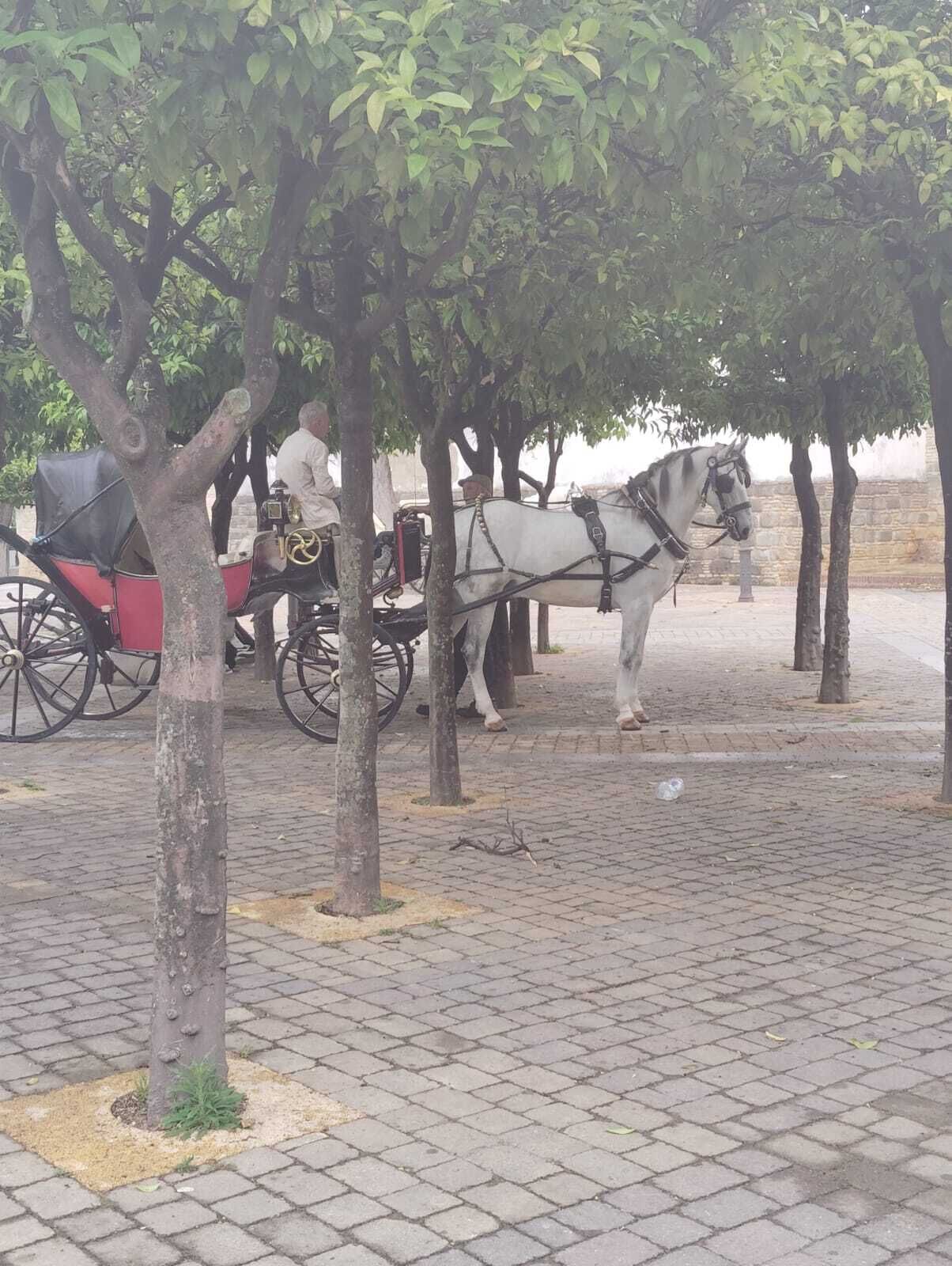 Jerez de la Frontera