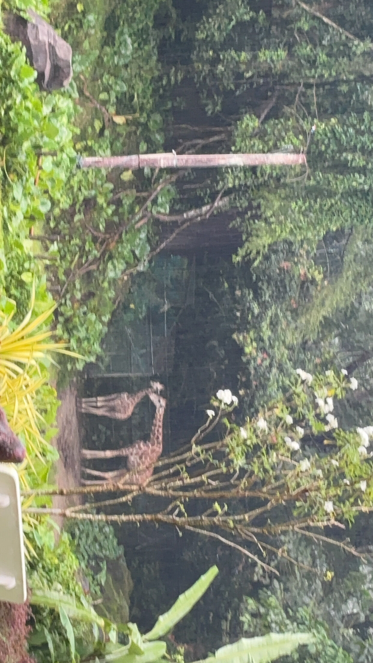 Kuala Lumpur