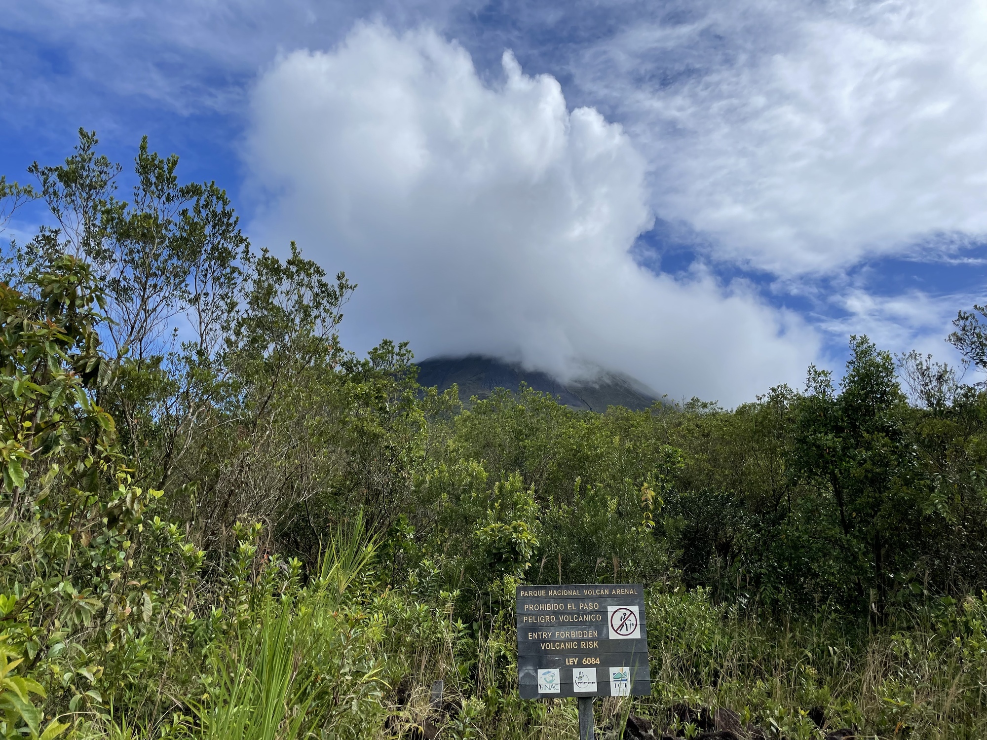 La Fortunada