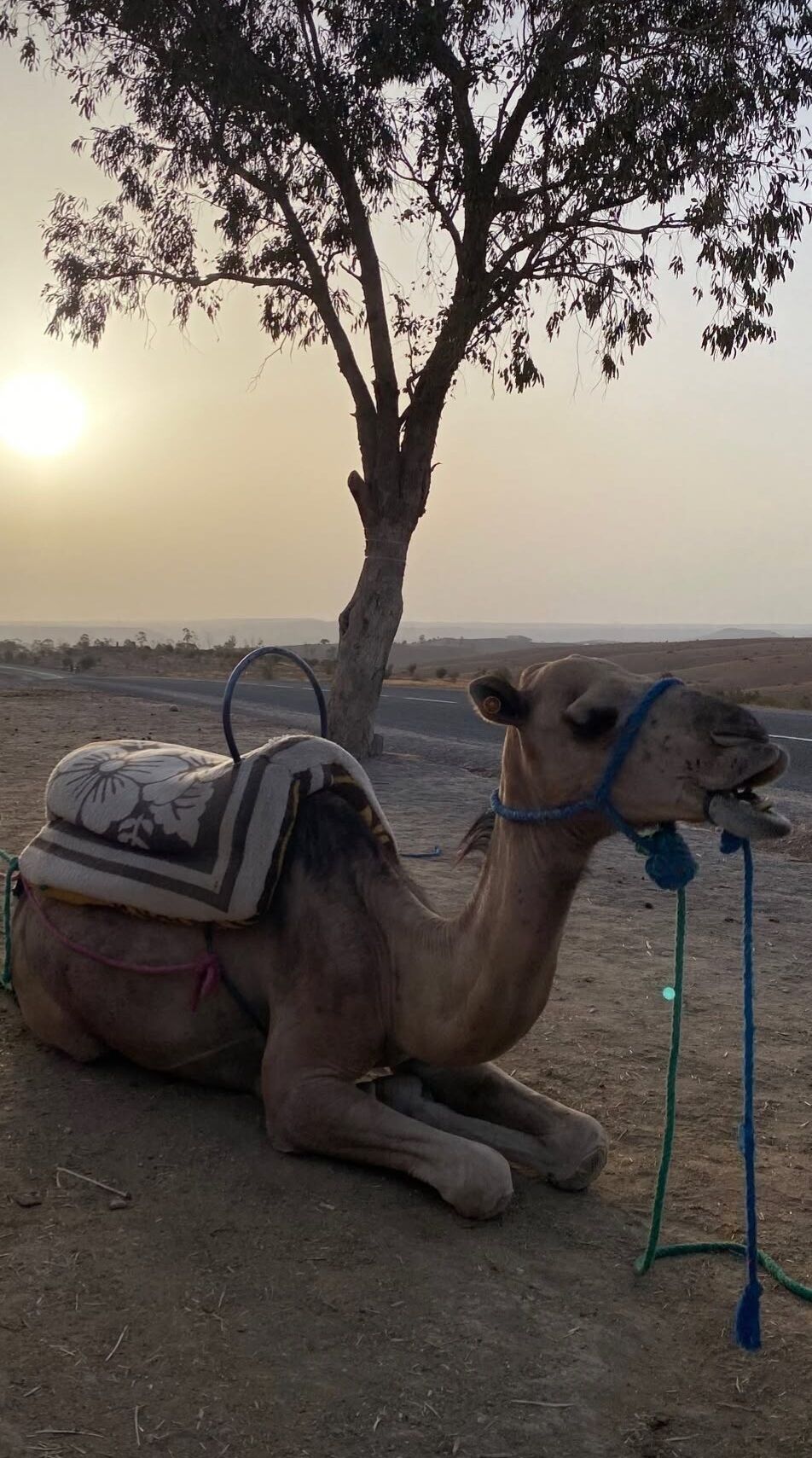 Marrakech