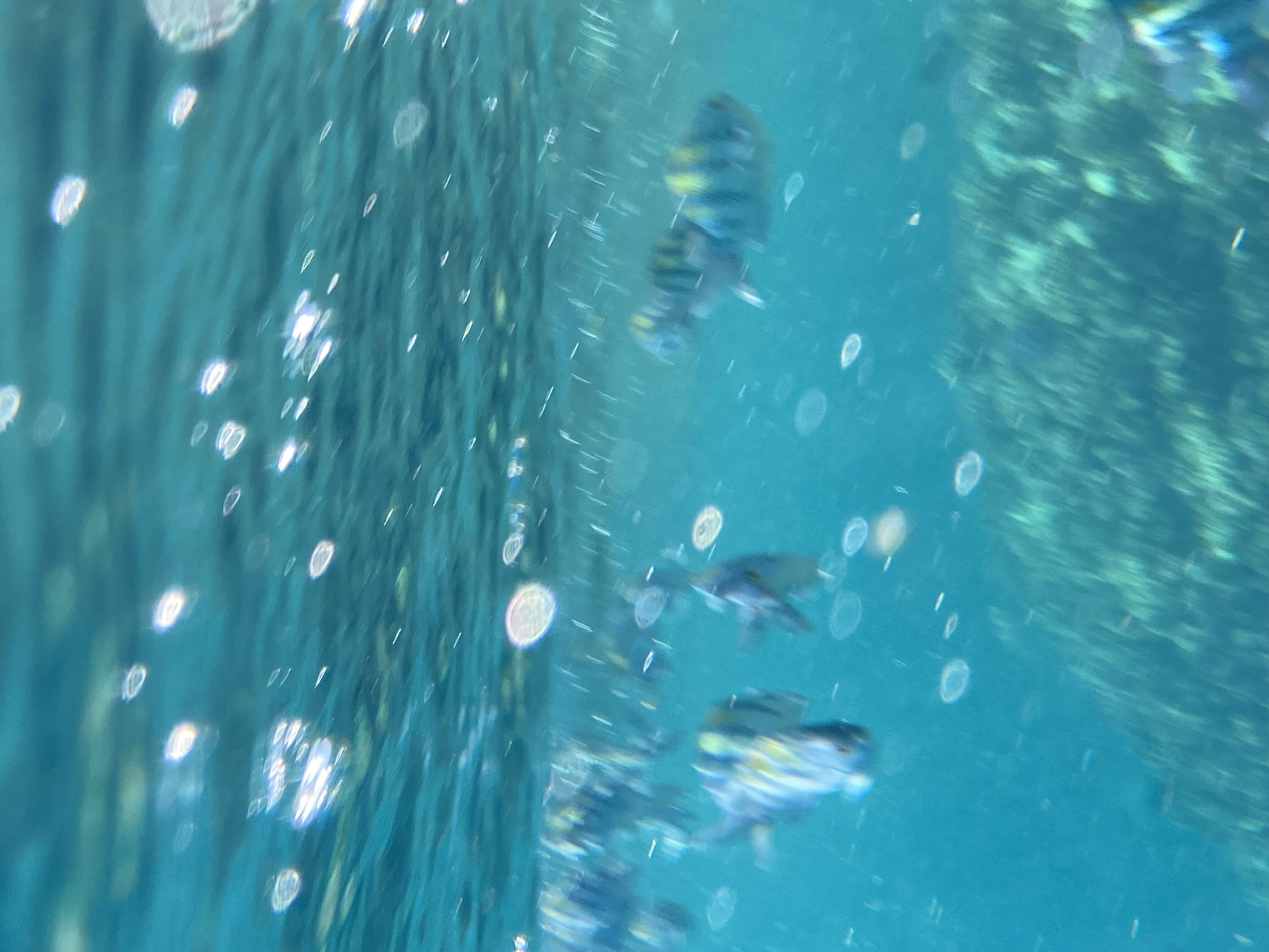 Marsa Alam