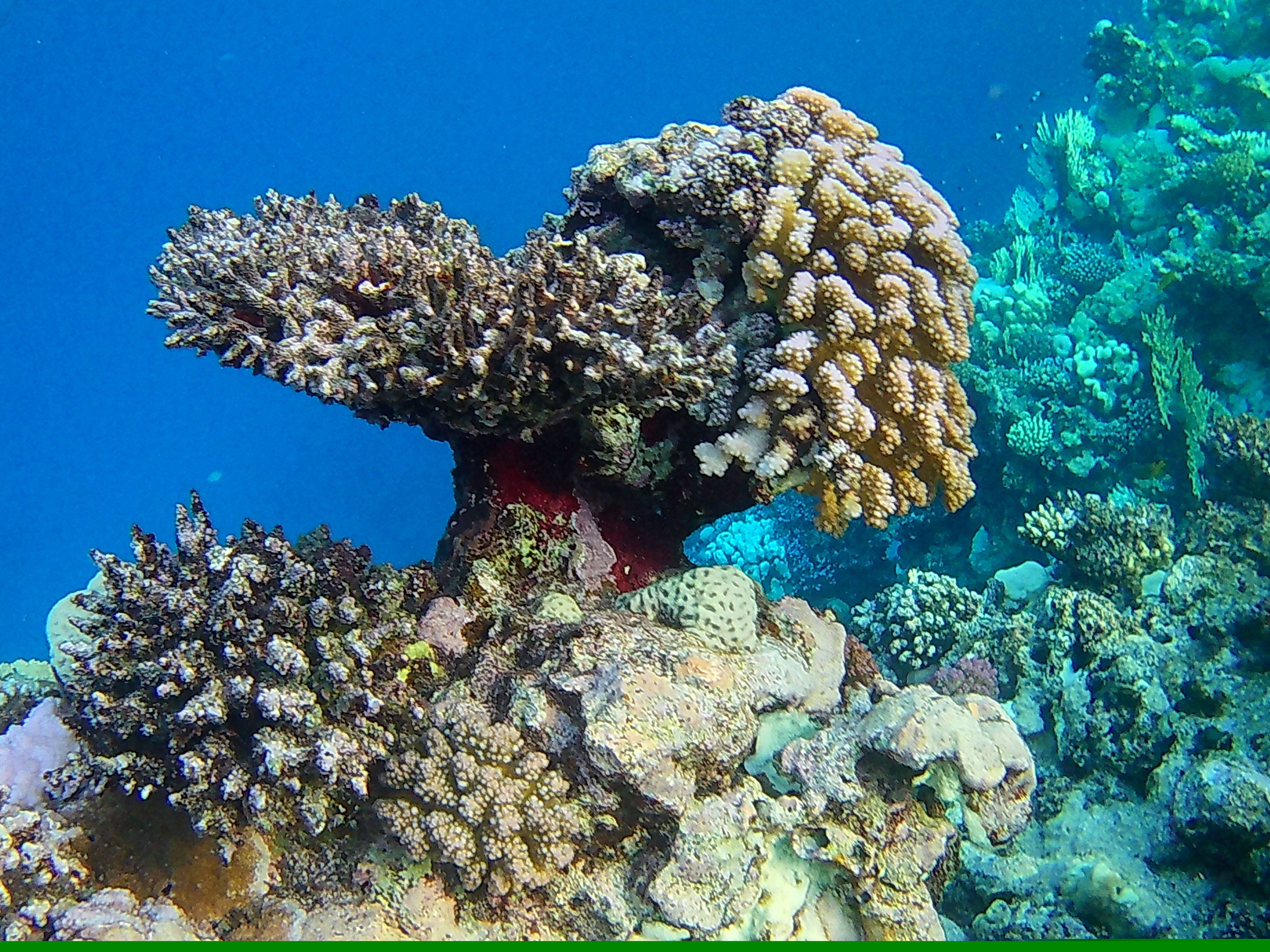 Marsa Alam