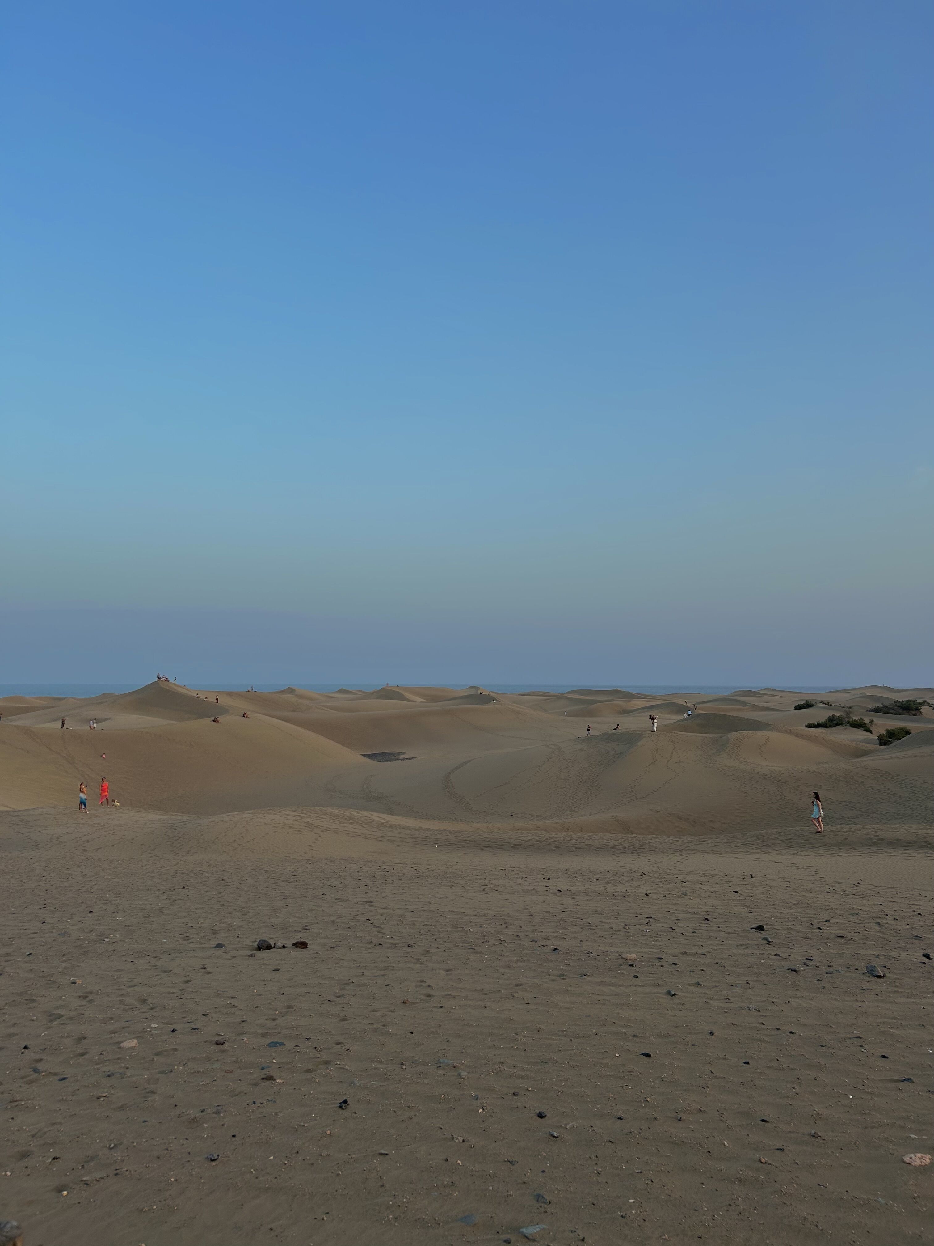 Maspalomas