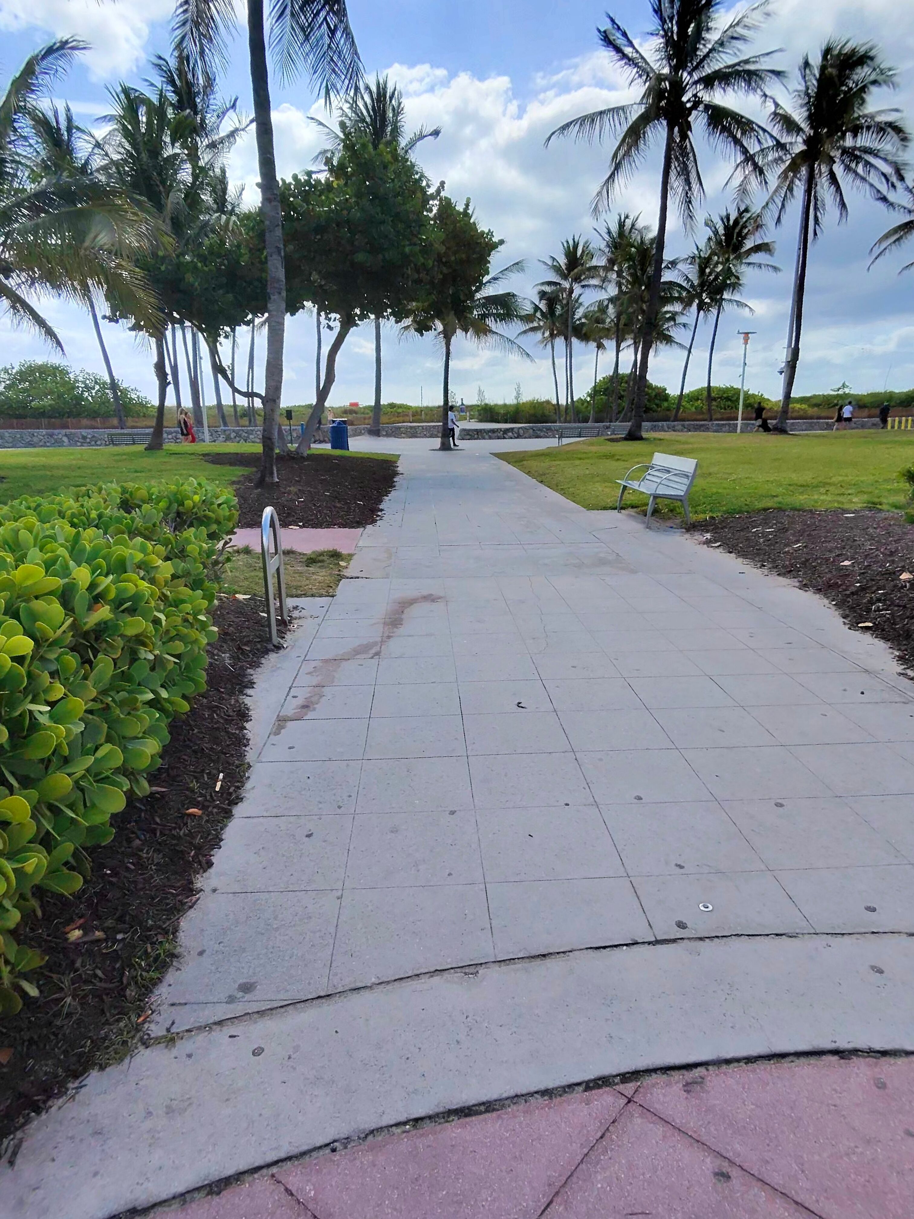 Miami Beach