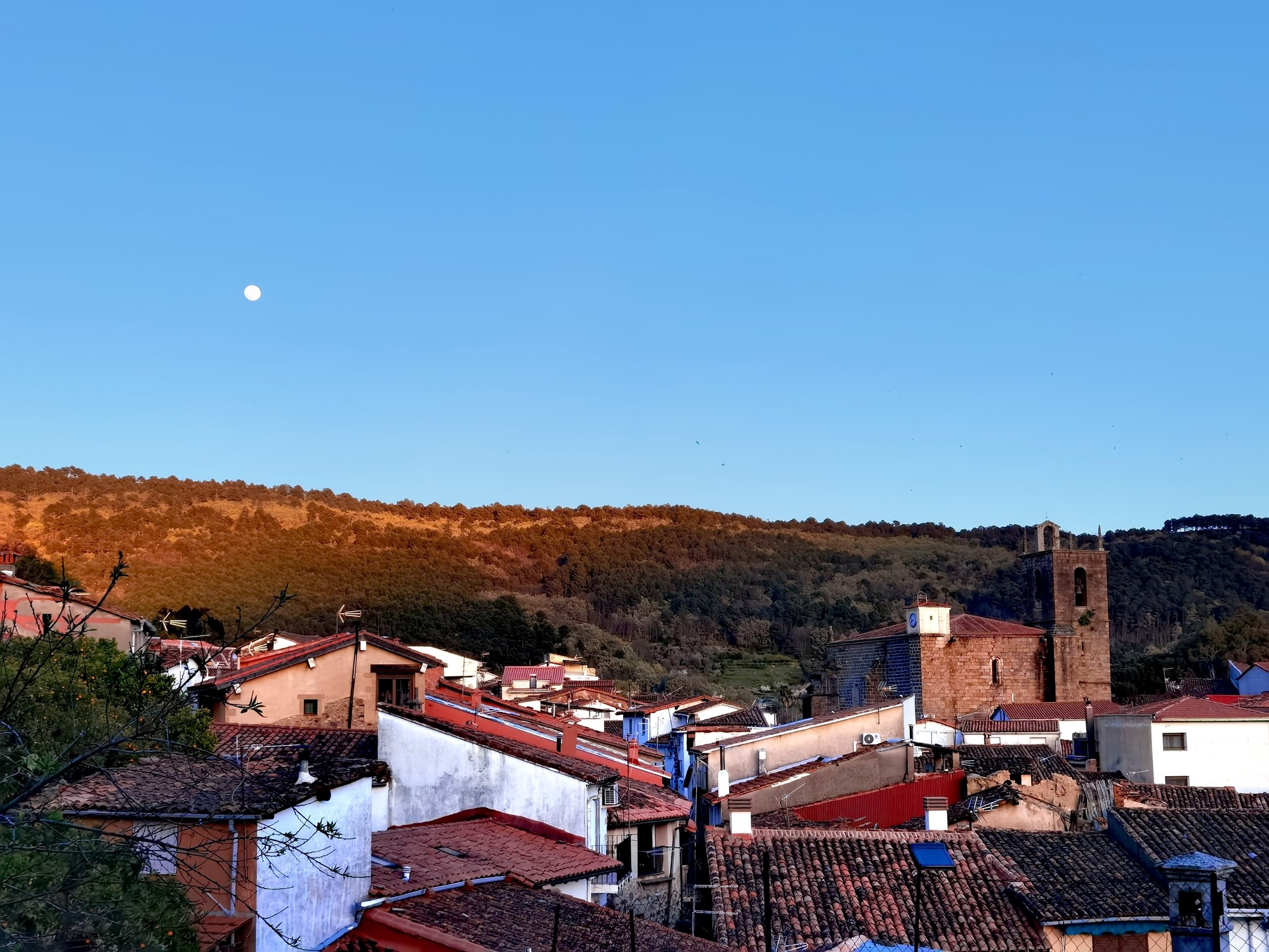 Moraleja