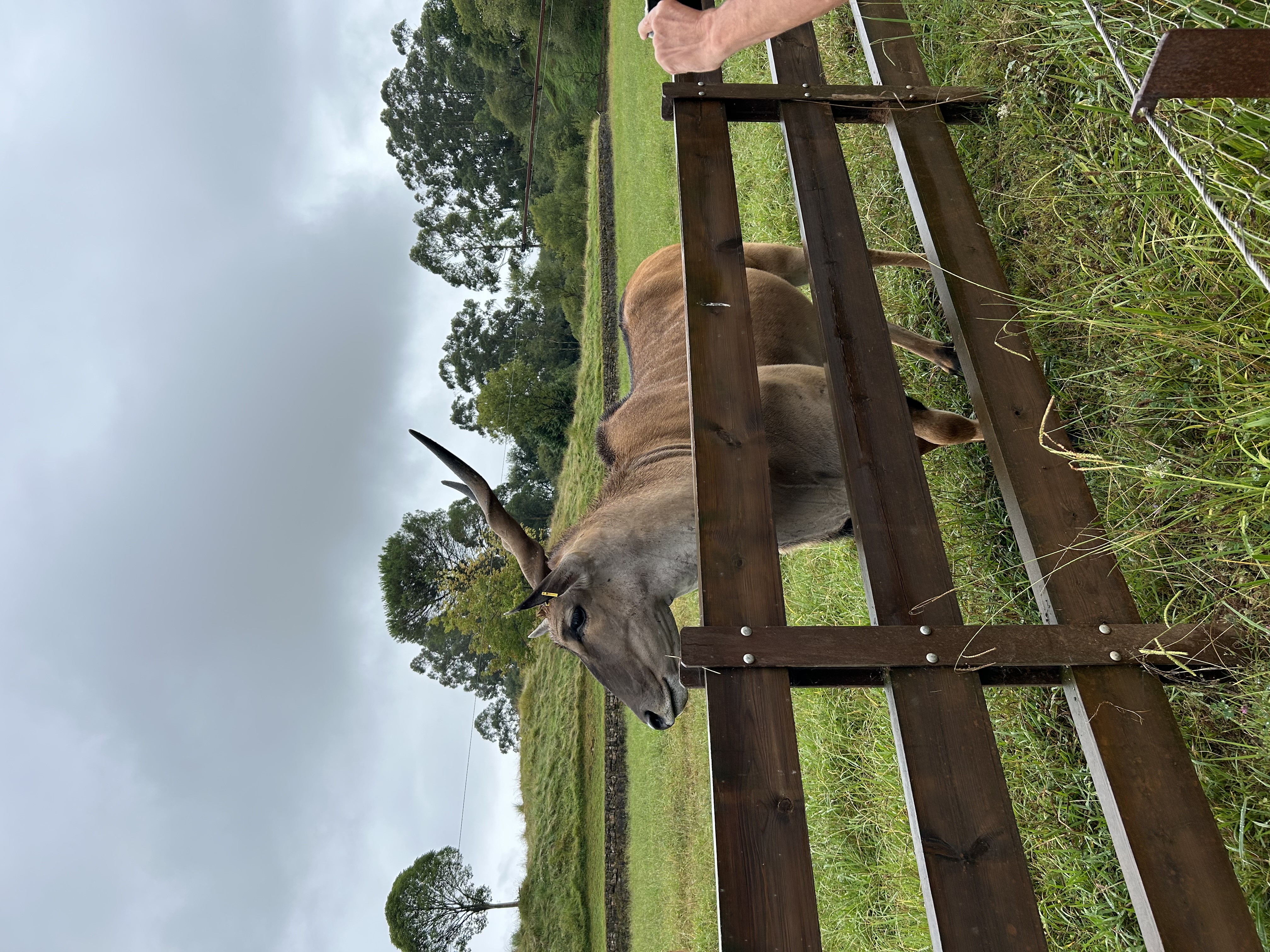 Parque Natural de Cabárceno
