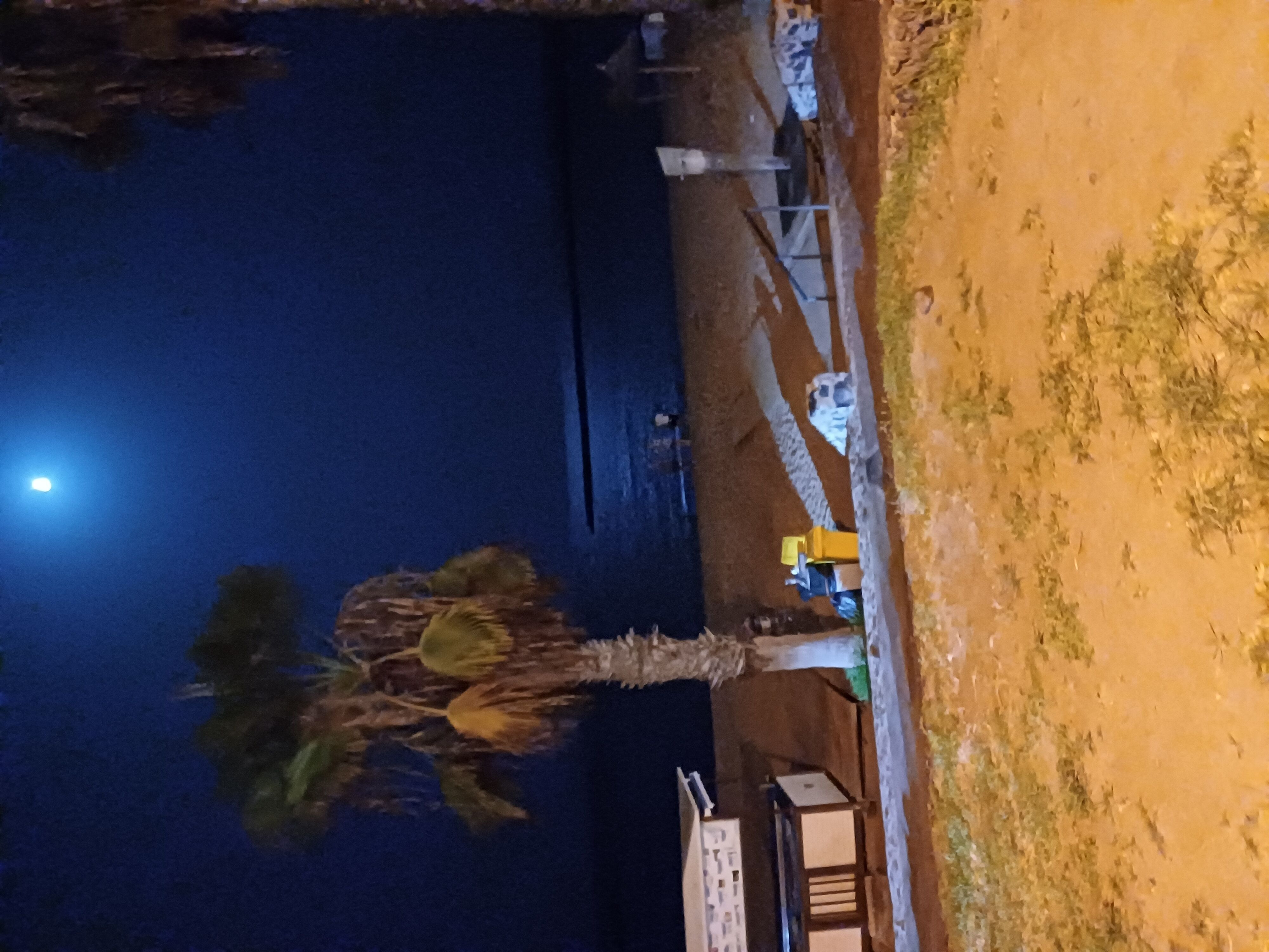Playa de las Americas