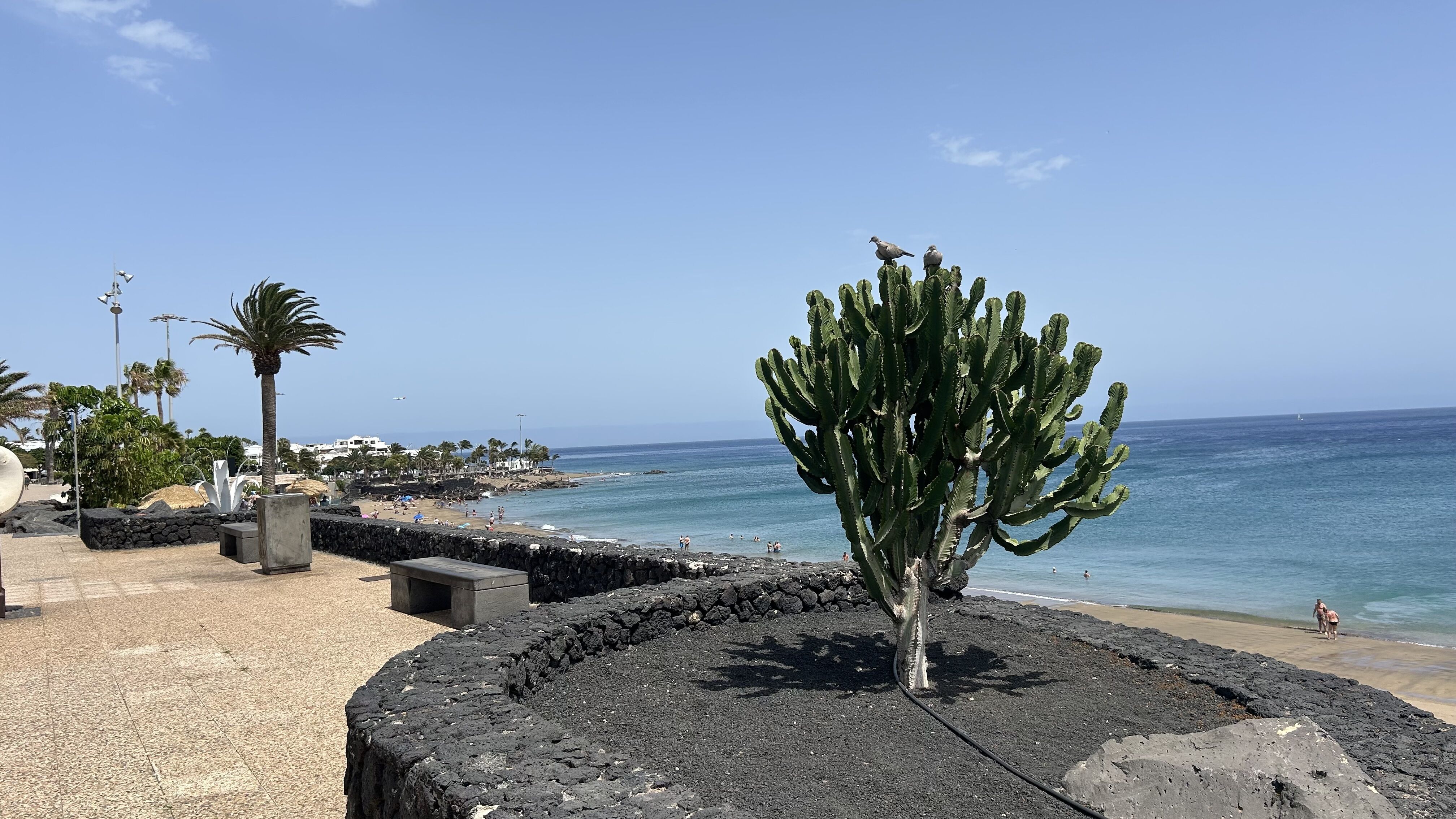 Puerto del Carmen