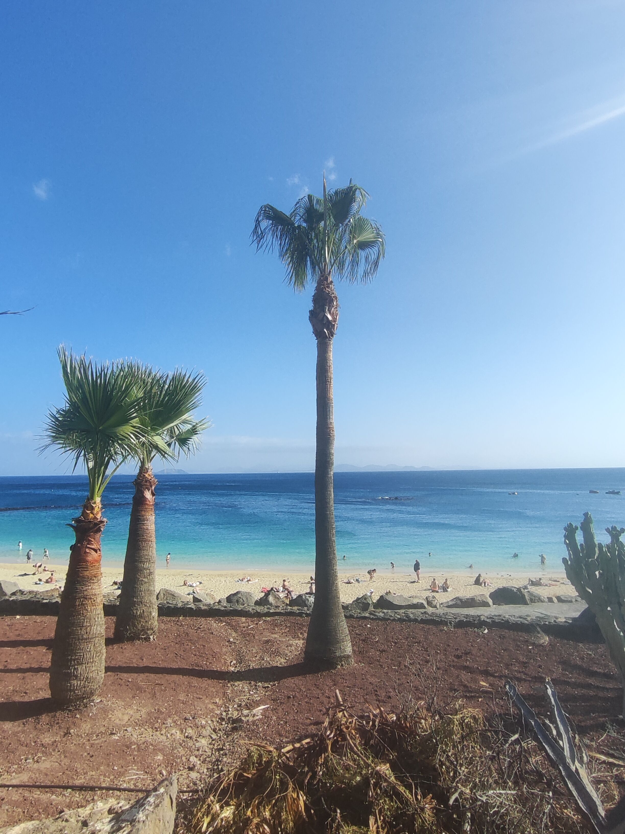 Puerto del Carmen
