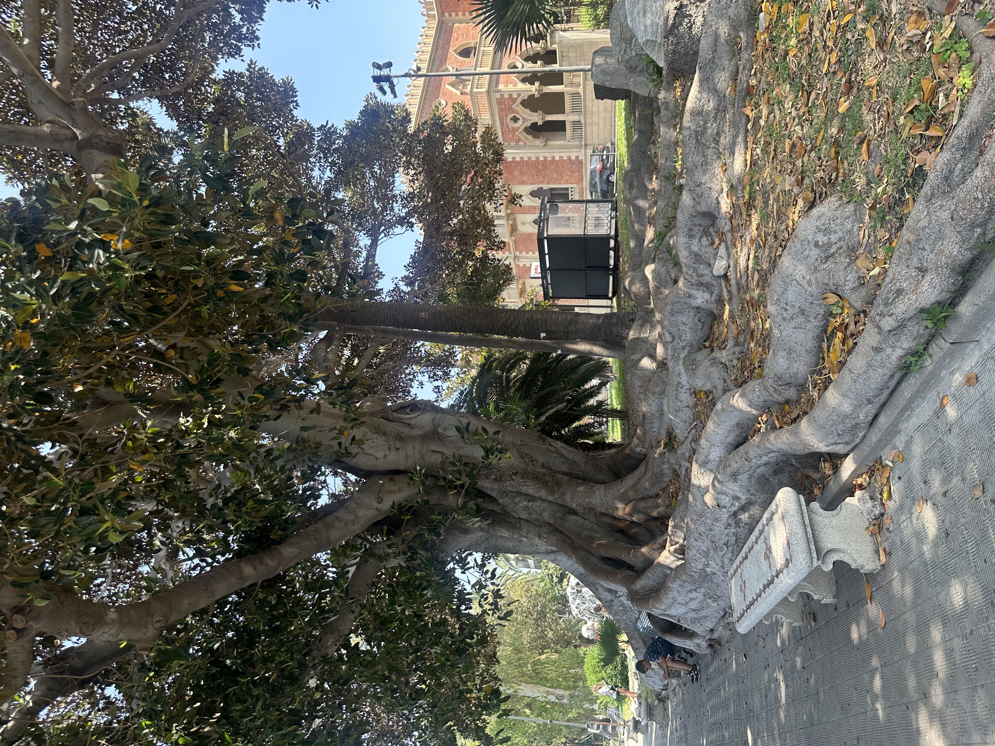 Reggio Calabria
