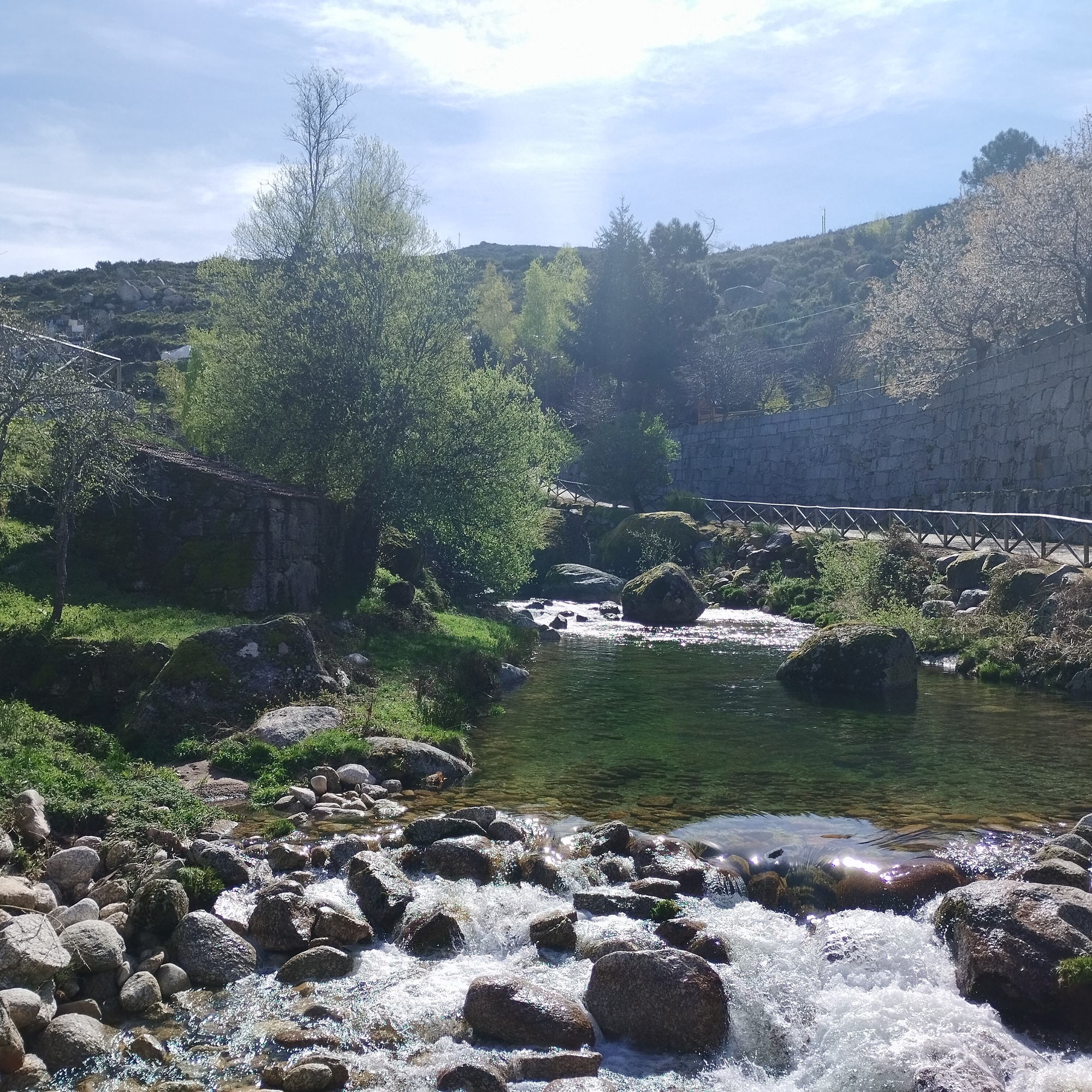 Sabugueiro