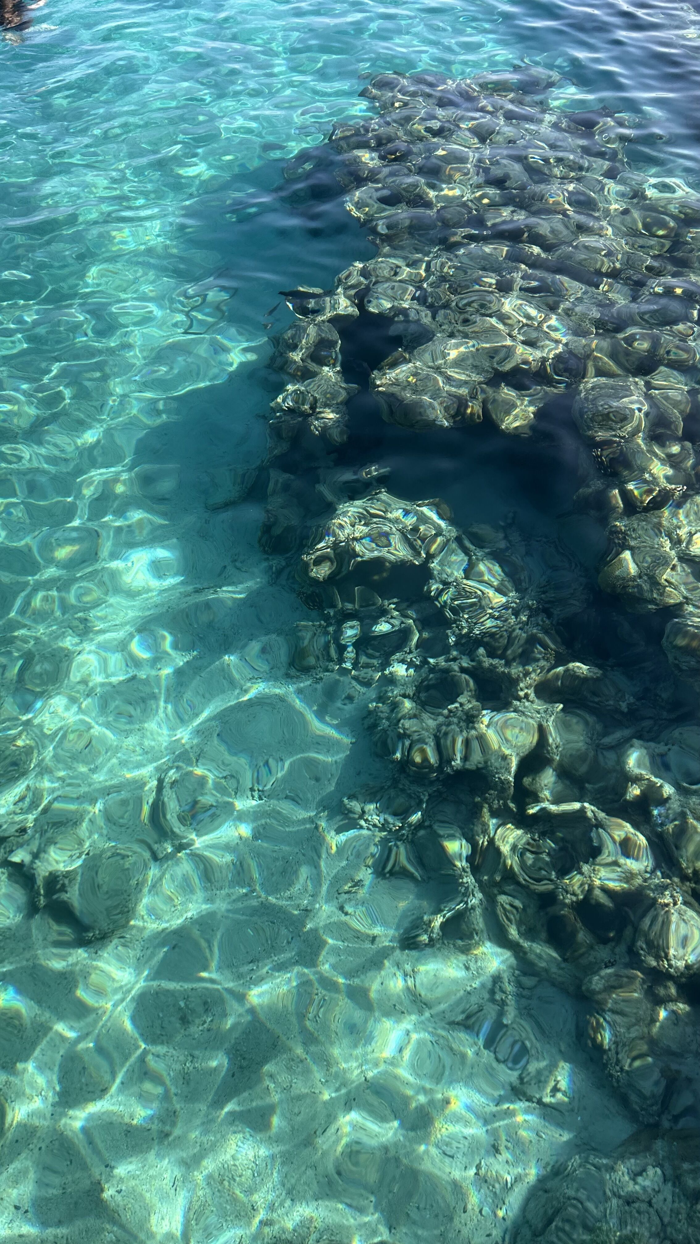 Sahl Hasheesh