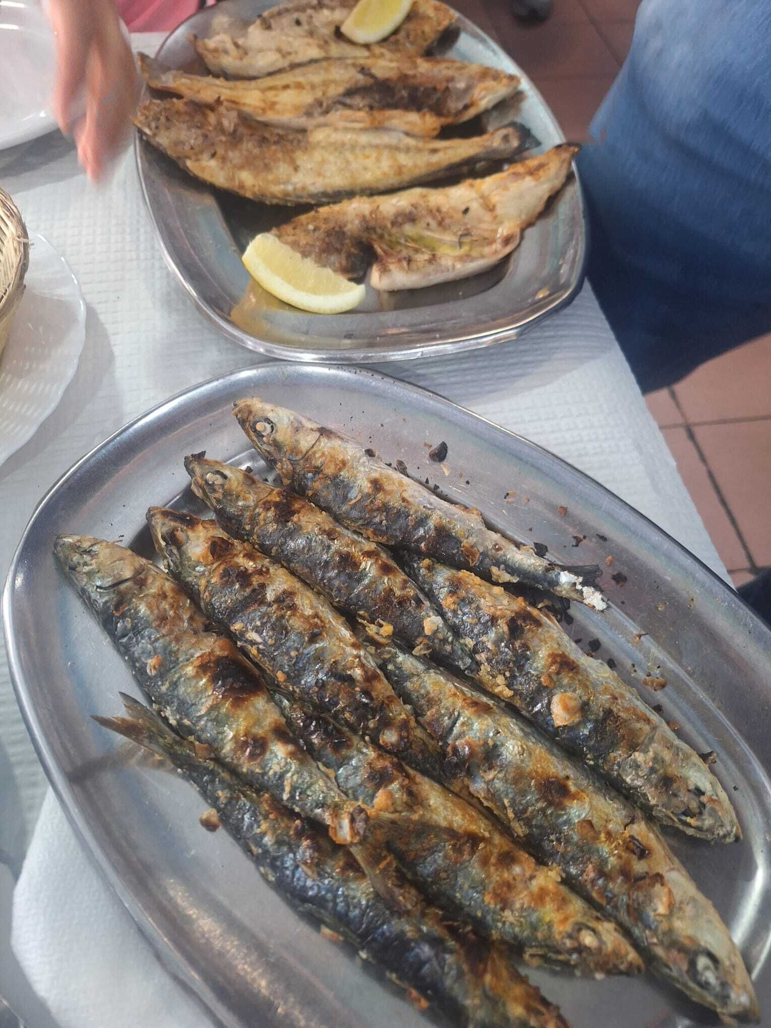 Setúbal