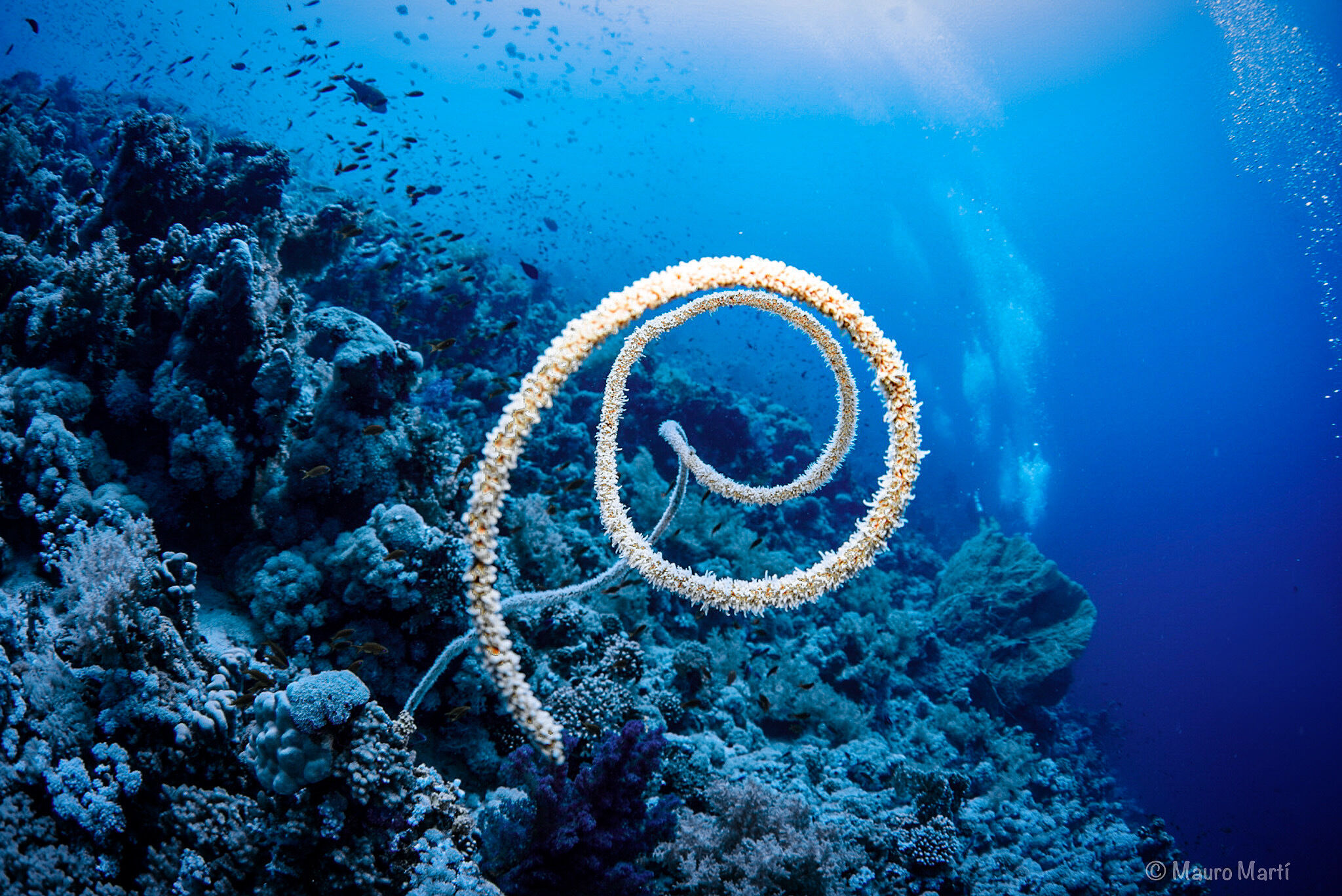 Sharm el Sheikh