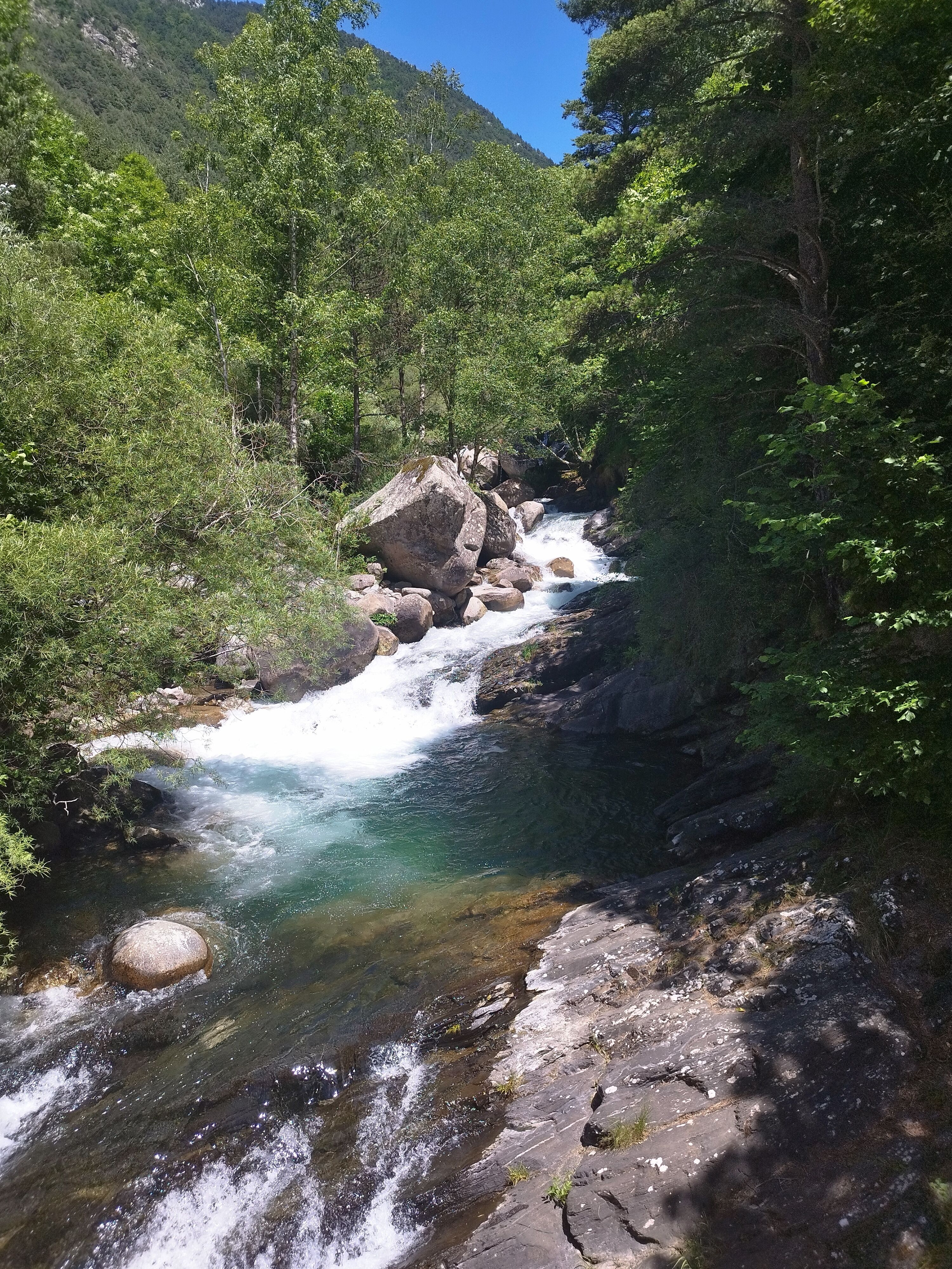 Taull