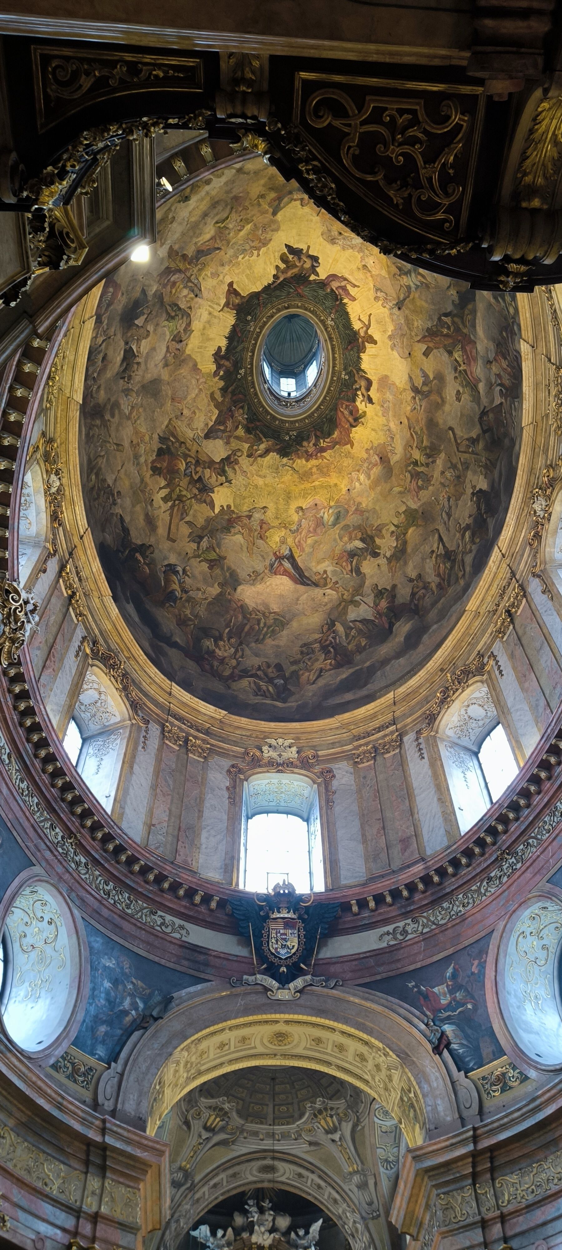 Viena
